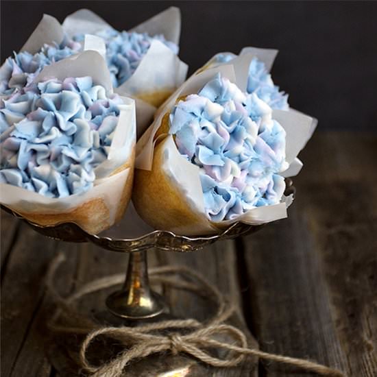 Hydrangea Cupcakes