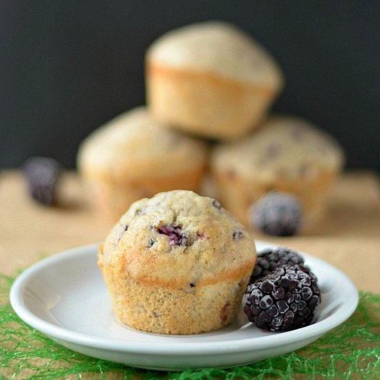 Blackberry Yogurt Muffins