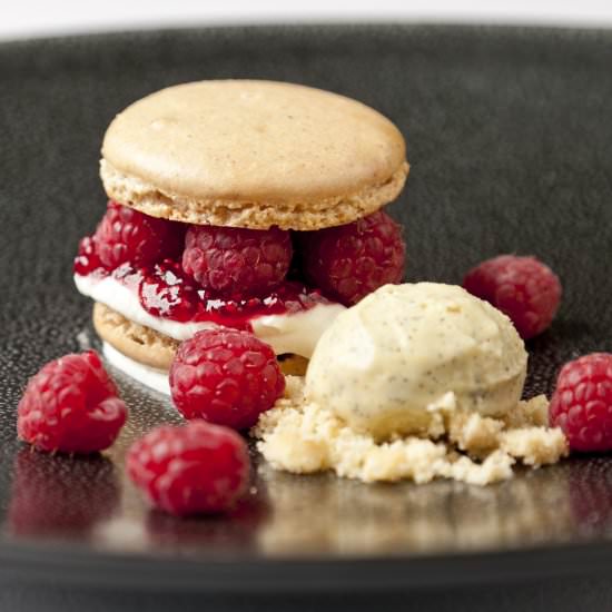 Raspberry and Vanilla Macarons