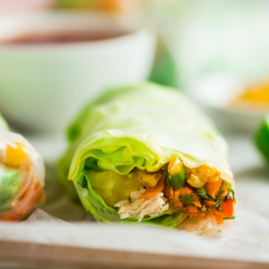 BBQ Chicken Summer Rolls