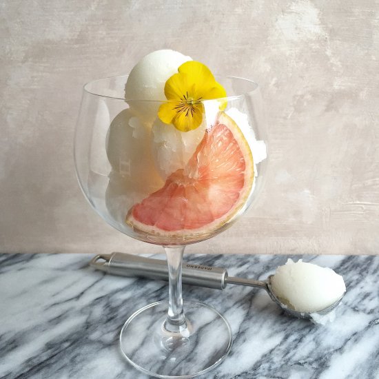 Elderflower Gin Tonic Sorbet