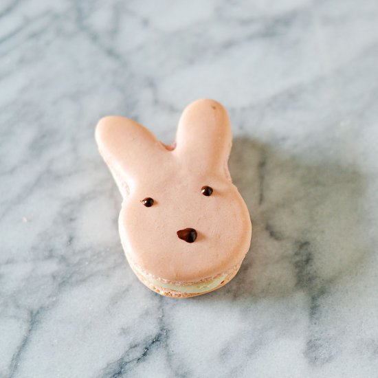 Easter Bunny Macarons