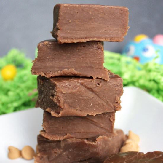 4 Ingredient Nutella Fudge