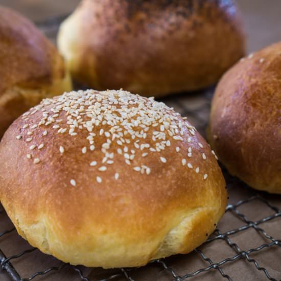 Brioche Buns