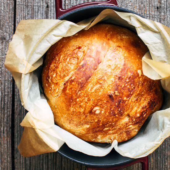 Jeff’s No Knead Beer Bread