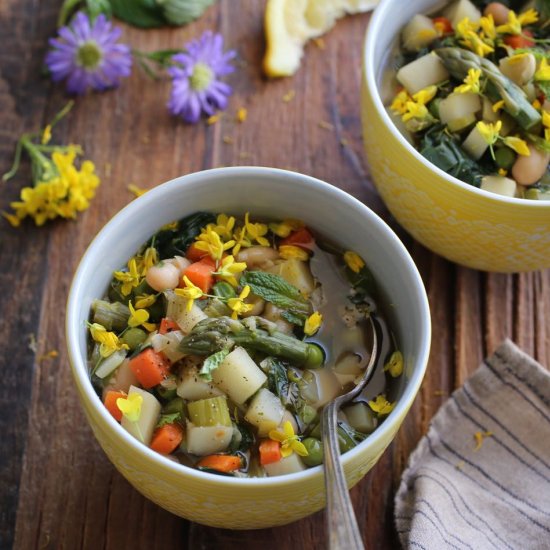 Spring Vegetable Soup