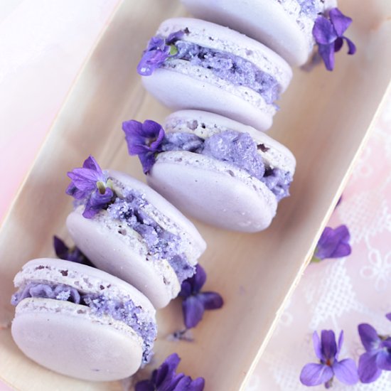 Violet Macarons