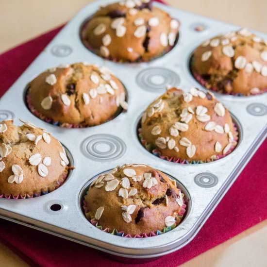 Banana Chocolate Chip Muffins