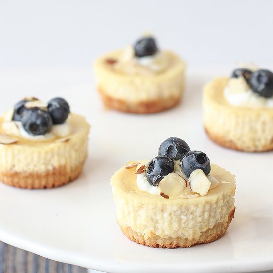 Mini Greek Yogurt Cheesecakes