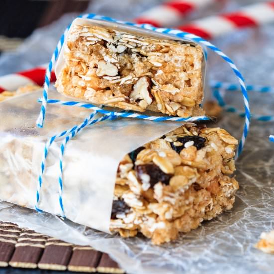 Oatmeal Raisin No Bake Granola Bars