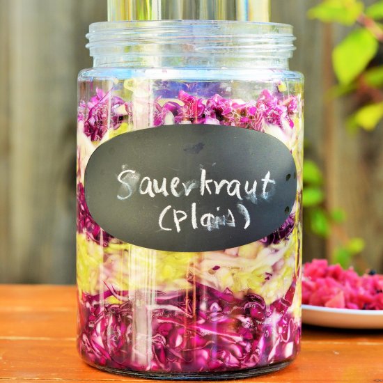 Multi-Colored Sauerkraut