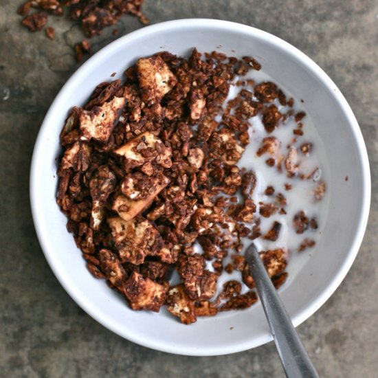 Chocolate Coated Matzo Granola