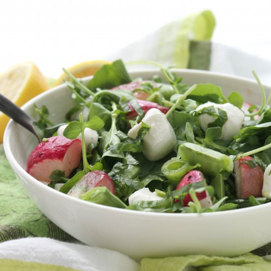 Radish, Mozzarella and Basil Salad