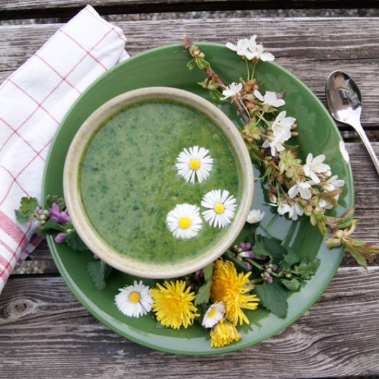 Wild Garlic Soup with Dandelion