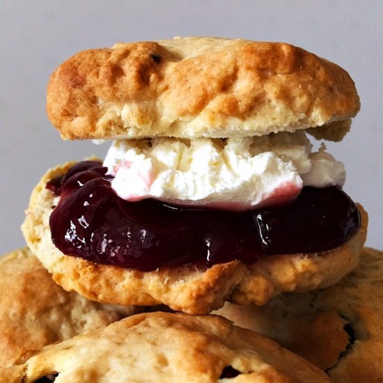 Homemade Tea Time Scones