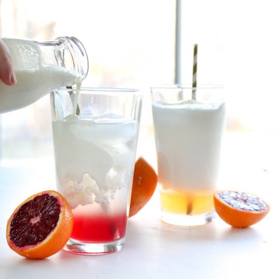 Citrus Italian Cream Sodas