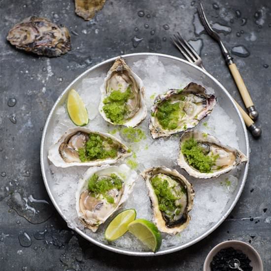 Oysters with spicy granita