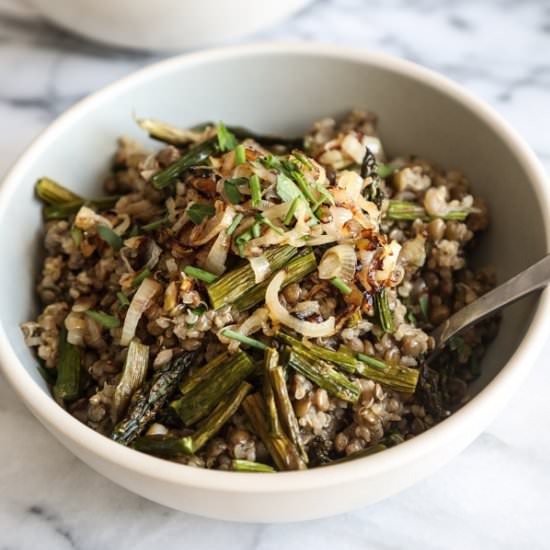 Spring Quinoa Mujadara