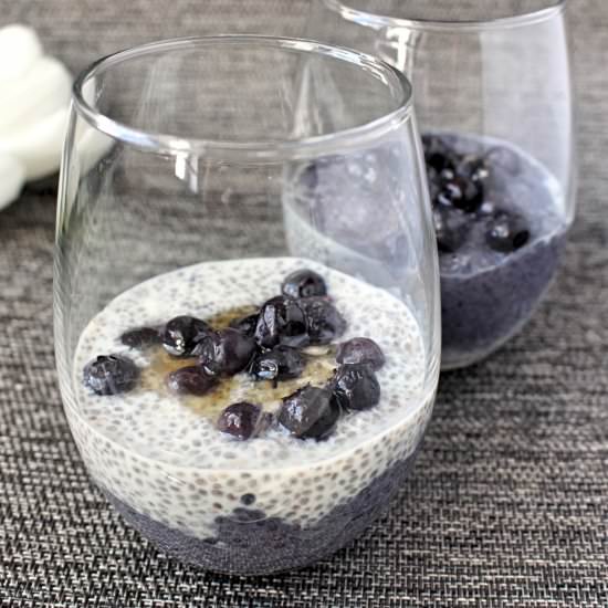 Blueberry Chia Pudding