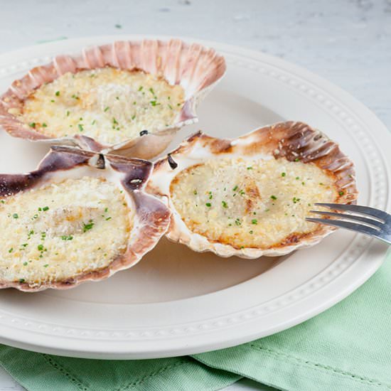 Fresh Scallops in Bechamel Sauce