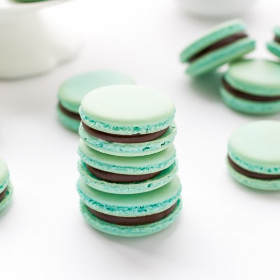 Turquoise French Macarons