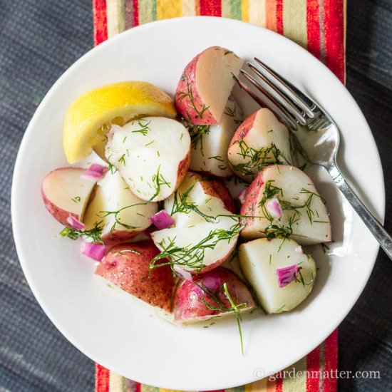 Lemon & Dill Red Potato Salad