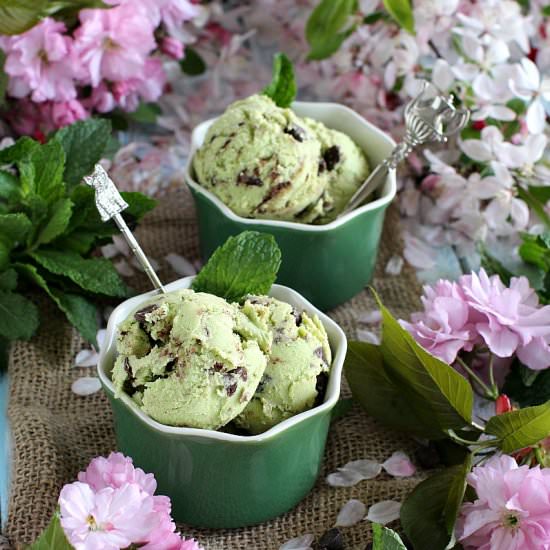 Mint Chocolate Avocado Ice Cream