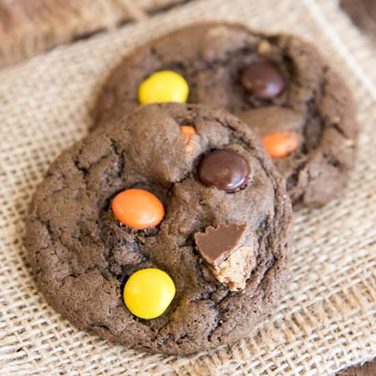 Chocolate Peanut Butter Cup Cookies