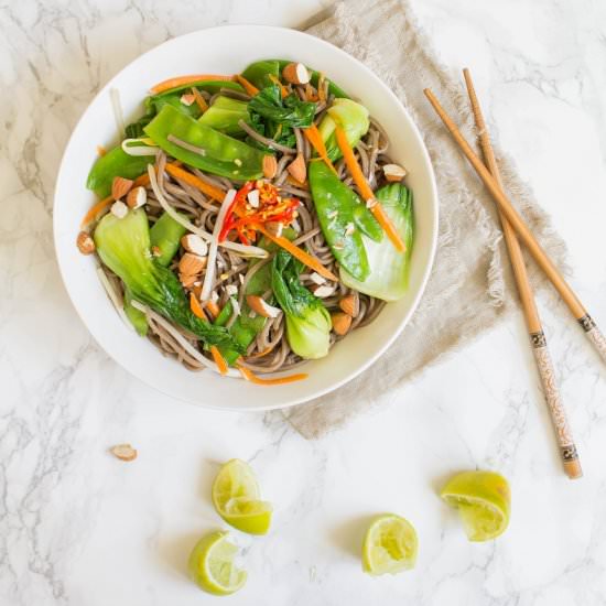 Fresh Vegetable Soba Noodle Salad