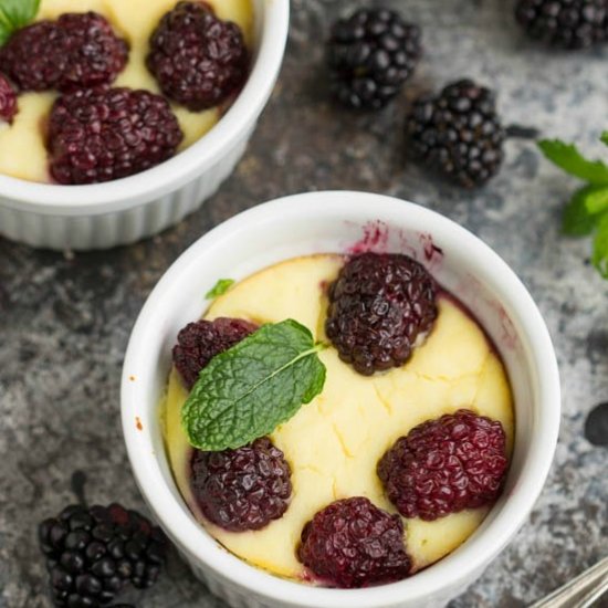 Baked Blackberry Ricotta Cheesecake