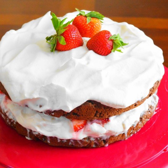 Chocolate Strawberry Shortcake