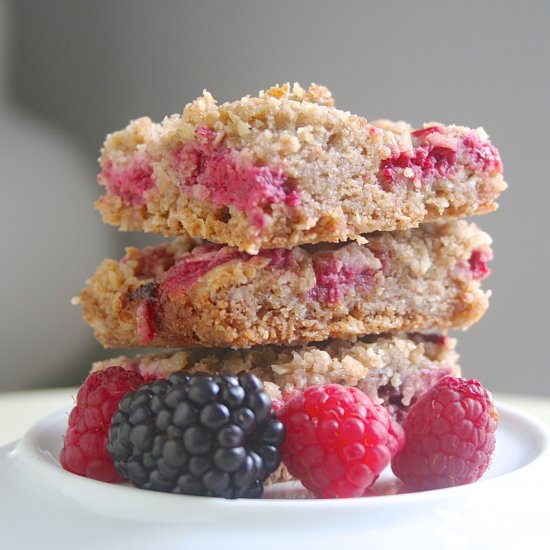 Berry Breakfast Bars