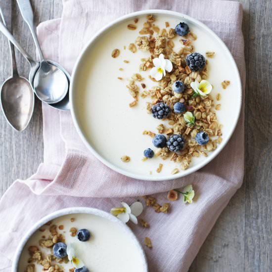 Granola & Yogurt Panna Cotta