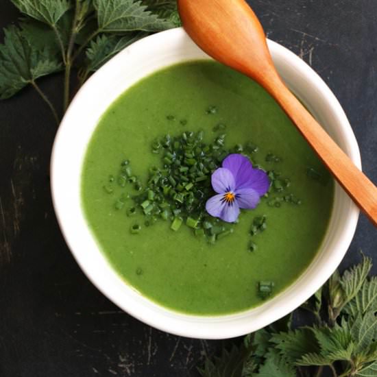 Spring Nettle Soup