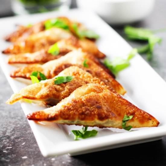 Southwestern Potstickers