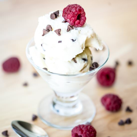 Homemade Frozen Yogurt