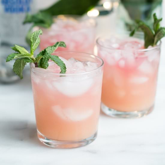 Pink Señorita Cocktail