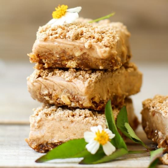 Cinnamon Streusel Ice Cream Bars