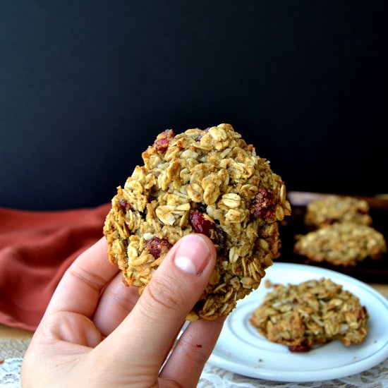 Coconut Cranberry Oatmeal Cookies