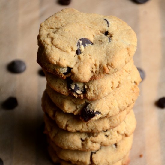 Perfect Paleo Chocolate Chip Cookie