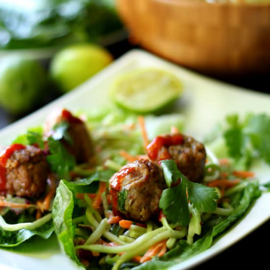 Asian Lettuce Wraps