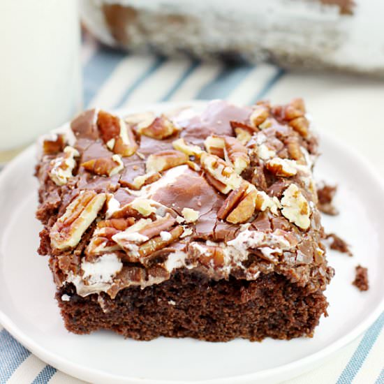 Mississippi Mud Cake