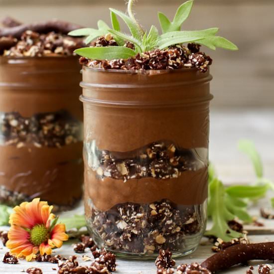 Chia Pudding Dirt Cups