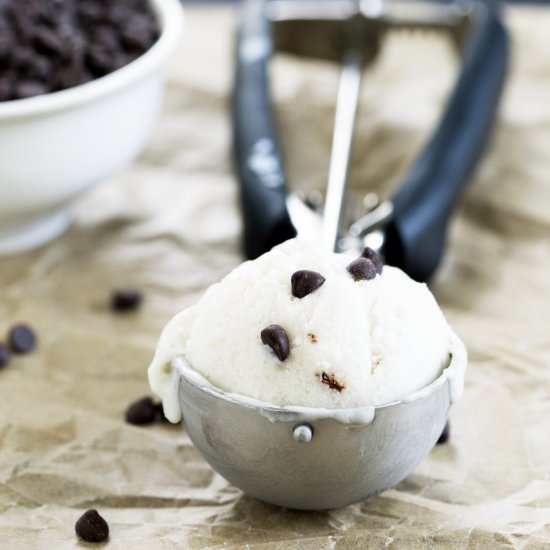 Easy No Churn Dairy Free Ice Cream