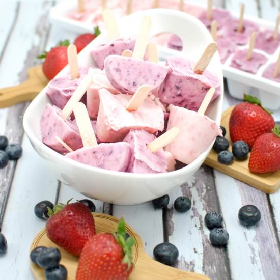 Mini Organic Frozen Yogurt Pops