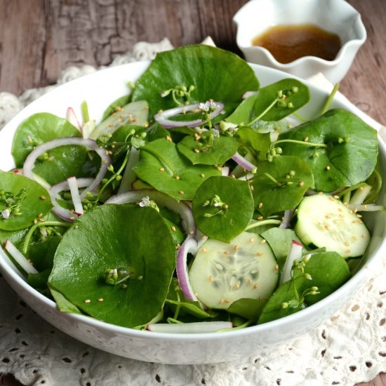 Wild Miners Lettuce Salad