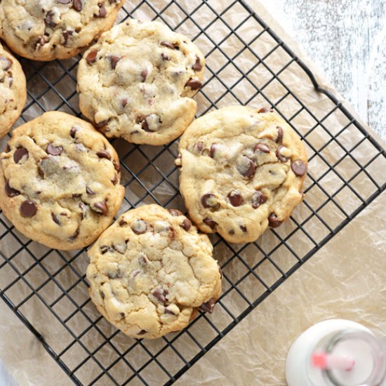 Big Fat Chewy Chocolate Chip Cookie