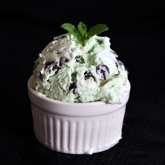 Mint Chocolate Chip Ice Cream