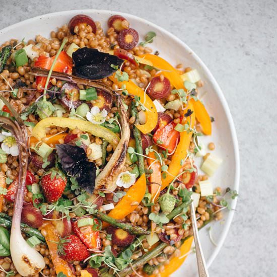 Vegetarian Spring Wheat Berry Salad