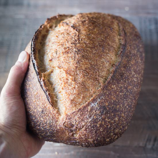 Polenta and Rosemary Sourdough